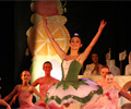 Nutcracker 2008