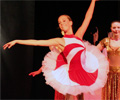 Nutcracker 2008